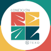 Logo Holding TEXO